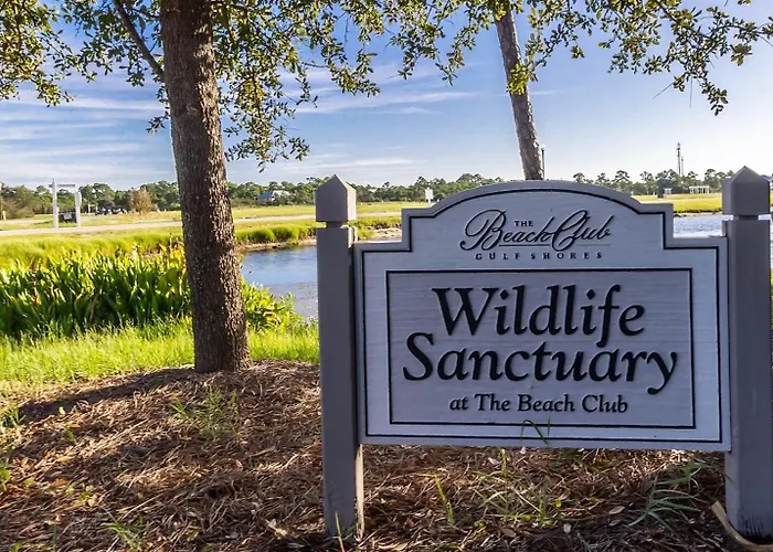 Bristol 205-beachfront Wamazing View-updated-2-kings-full Service Apartment *